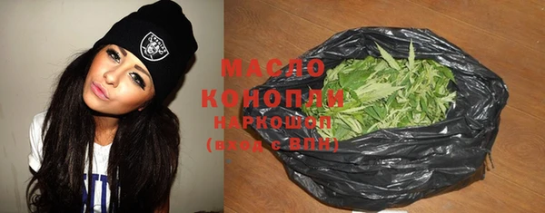 хмурый Аркадак