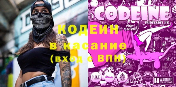 хмурый Аркадак