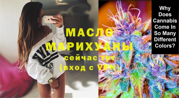 хмурый Аркадак