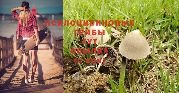 шишки Алексеевка
