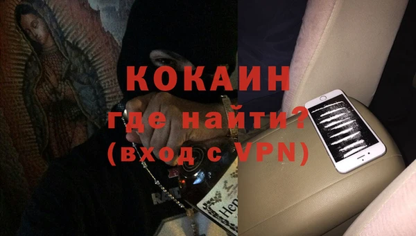 хмурый Аркадак
