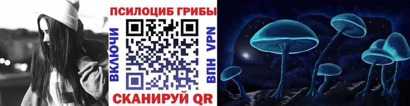 Купить  Стародуб  Галлюциногенные грибы прущие грибы 