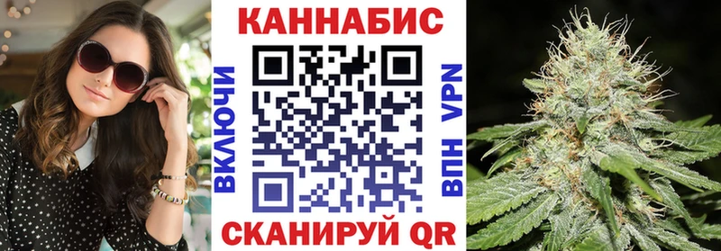 Марихуана сатива  Купить  Стародуб 